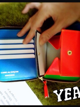 「COMME des GARCONS（コムデギャルソン）のアイテム（財布）」を使った、ぽんたさん（レディース・155cm）の秋コーディネート