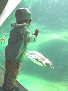 「PETIT BATEAU（プチバトー）のアイテム」を使った、masu oさん（メンズ・70cm）の春コーディネート