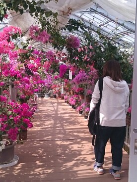 narさんのコーディネート