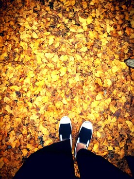 もこさんのコーディネート