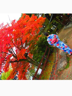 CHUNさんのコーディネート