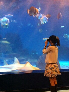 pocketmiさんのコーディネート