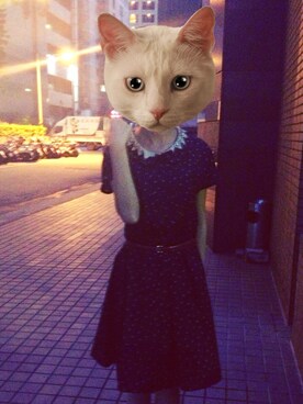 pocketmiさんのコーディネート