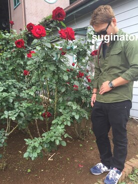 suginatorさんのコーディネート