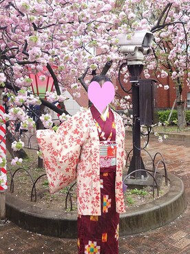 安見梅子さんのコーディネート