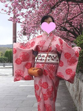 安見梅子さんのコーディネート