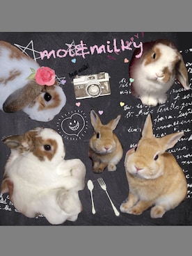 甜甜私房miyu喵さんのコーディネート