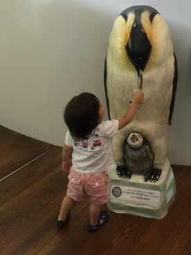 Shiolyさんのコーディネート