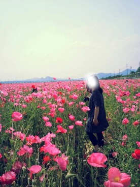 フジナガさんのコーディネート