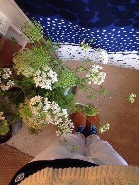 mさんのコーディネート