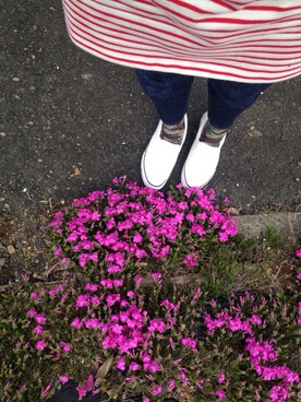 mさんのコーディネート