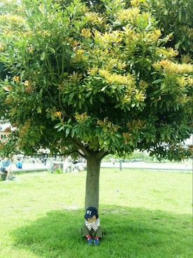 kinakoさんのコーディネート