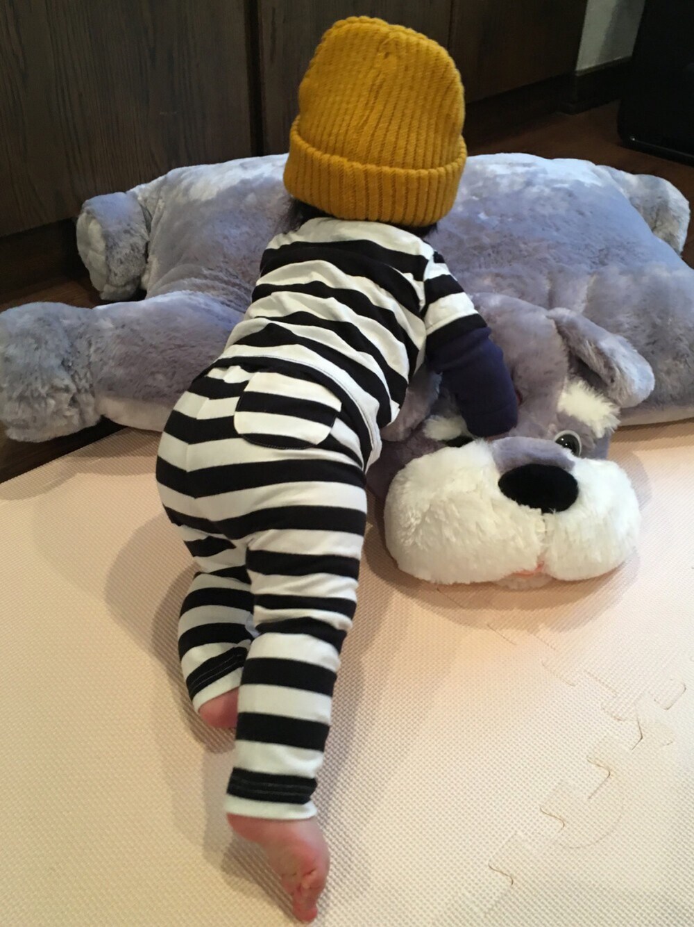 「しましま、ボーダー、重ね着、7ヶ月、うしろ姿、メンズライクコーデ」｜「UNIQLOのアイテム（パンツ、ブラック系）」を使った、SuzuMinaさん（キッズ・70cm）の春コーディネートの1枚目の写真