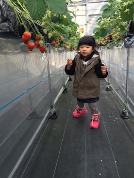 ゆっちゃんさんのコーディネート