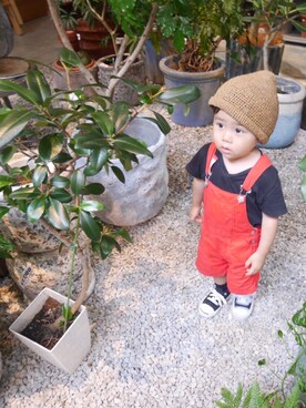 Rchanさんのコーディネート