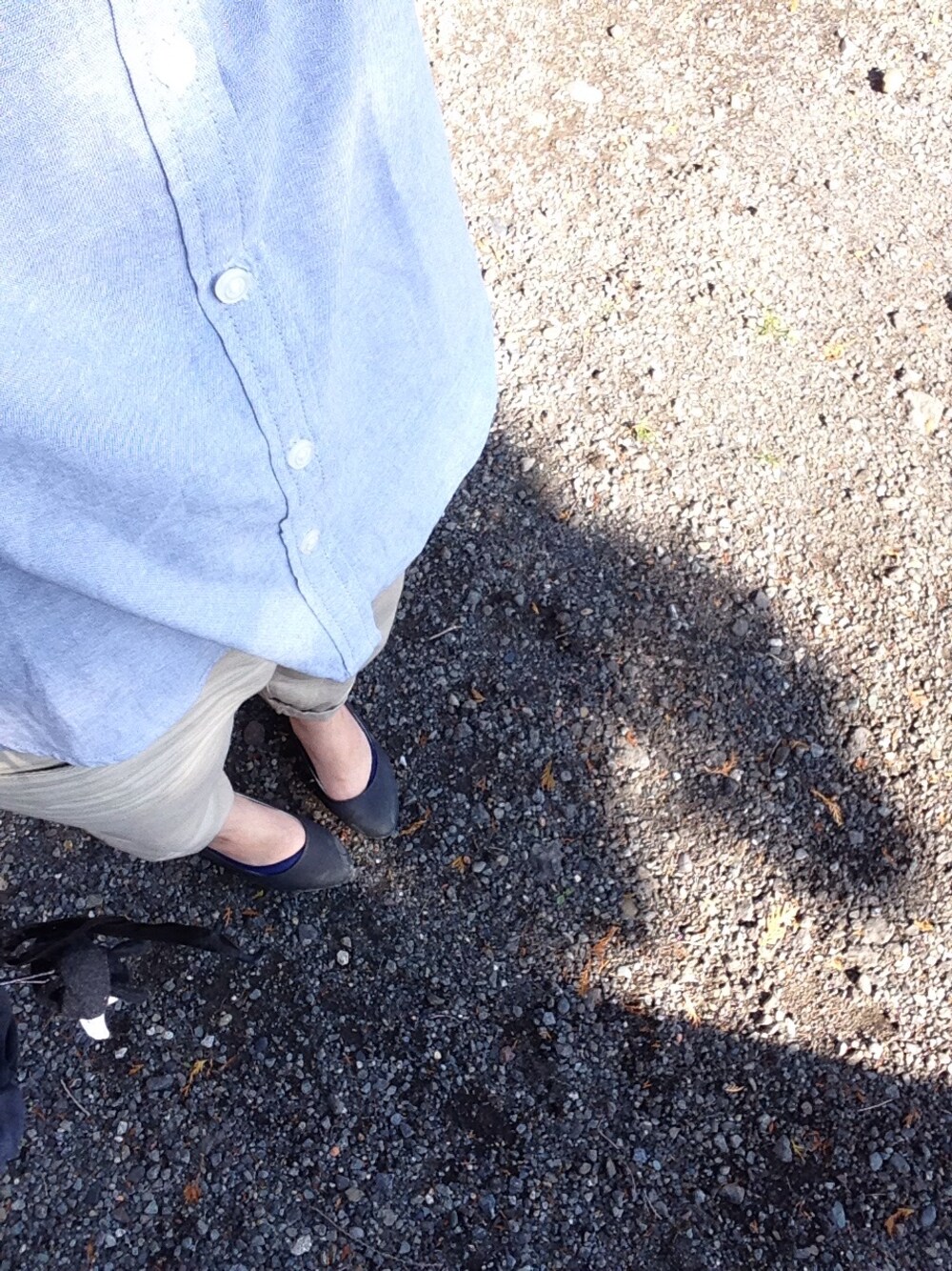 ブラック系のパンプス、ピンク系のベルト、ブラック系のアナログ腕時計を着用したレディースの秋コーディネートの1枚目の写真