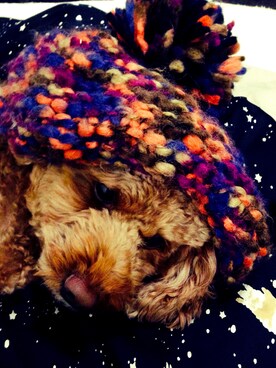 heyheyさんのコーディネート