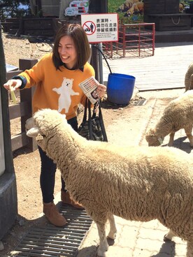 Wingss.さん(レディース・153cm)の秋コーディネート