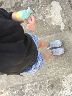 みんさんさんのコーディネート