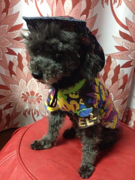 ミタ♪さんのコーディネート