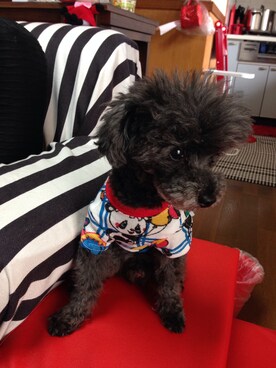 ミタ♪さんのコーディネート