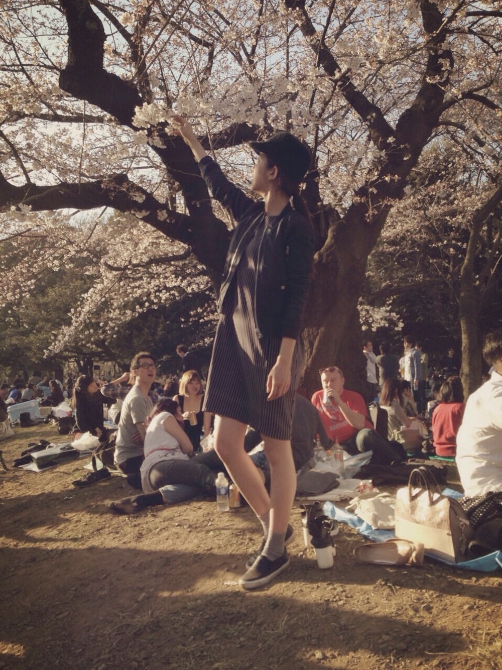 「スリッポン、ワンピース、ストライプ、シルバー、靴下、everyday by collex/MYSELF ABAHOUSE(everyday by collex/MYSELF ABAHOUSE)、GAP、MA-1、Spick and Span、PEGGYLANA」｜「GAPのアイテム（スニーカー、ブラック系）」を使った、片桐ゆたかさん（レディース・172cm）の春コーディネートの1枚目の写真
