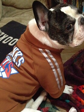 みどりちゃんさんのコーディネート