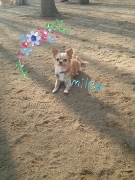 uuuさんのコーディネート