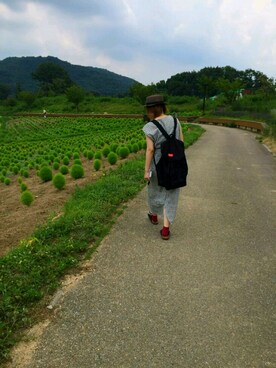 やーさんのコーディネート