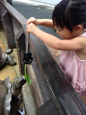 mo10kiさんのコーディネート