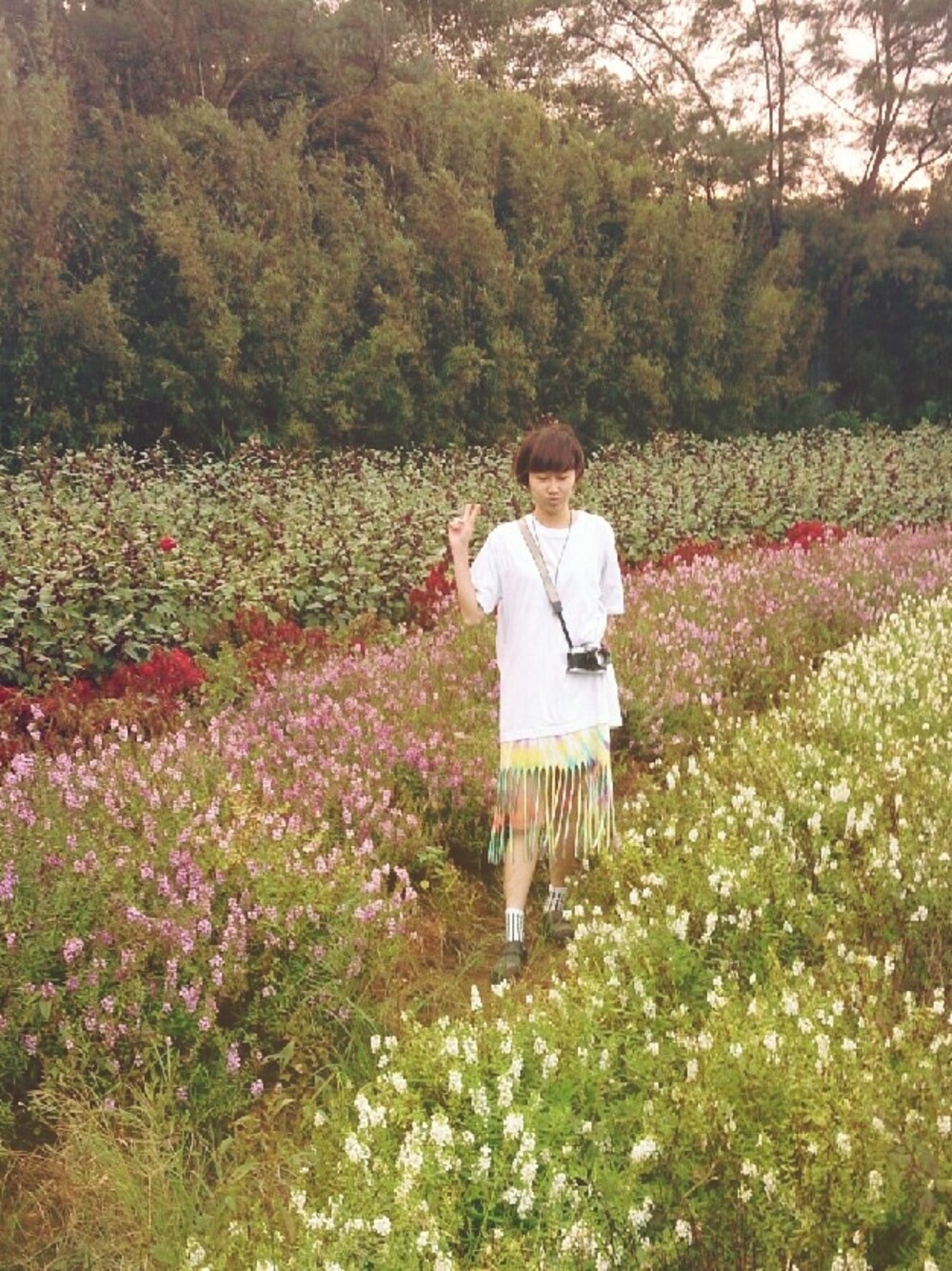「flower、outfit、white、sun、camera」｜「UNIQLOのアイテム（Tシャツ/カットソー、ホワイト系）」を使った、shootingさん（レディース・161cm）の秋コーディネートの1枚目の写真