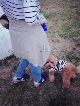 ごはんちゃんさんのコーディネート