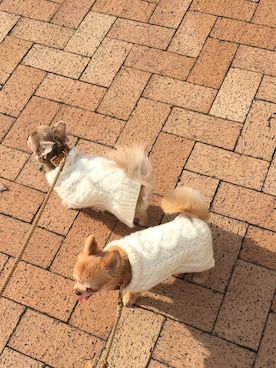 「TODAYFUL（トゥデイフル）のアイテム（インテリア）」を使った、REIKA YOSHIDAさん（レディース・165cm）の秋コーディネート