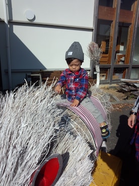 証（あかし）明（あかり）さんのコーディネート