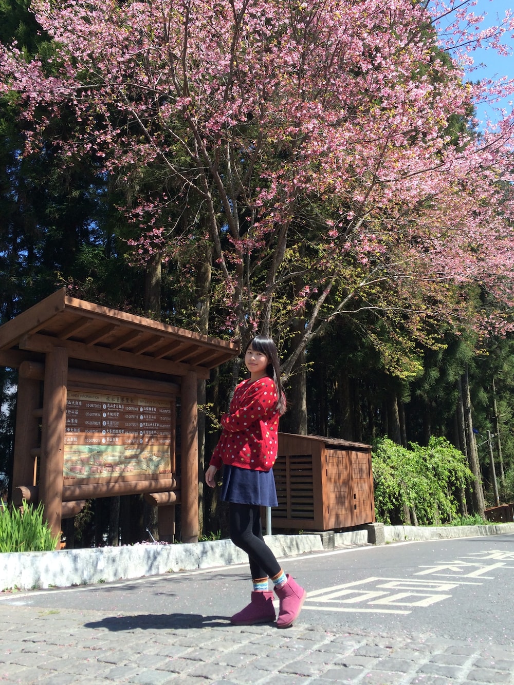 「阿里山」｜「NO NAMEのアイテム（ニット/セーター、レッド系）」を使った、卡洛兒さん（レディース・162cm）の秋コーディネートの1枚目の写真