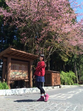 卡洛兒さんのコーディネート