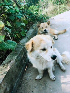 绵绵さんのコーディネート