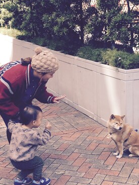 haroldbeanさんのコーディネート