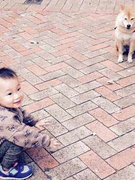 haroldbeanさんのコーディネート