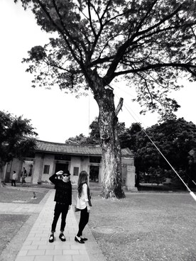 蔡三母さんのコーディネート