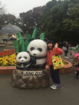 miho   ○さんのコーディネート