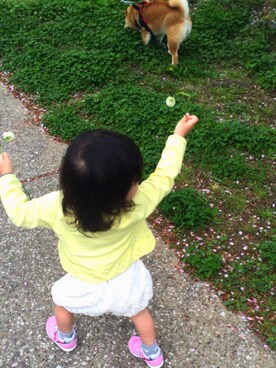 meirintan☆☆さんのコーディネート