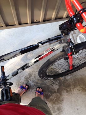 NOAさんのコーディネート