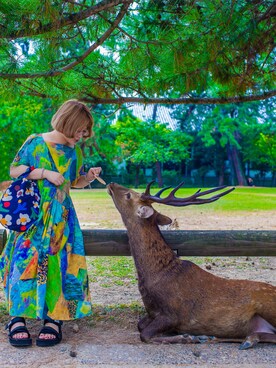 「travel」｜hakuroさん（レディース・154cm・30代）の夏コーディネート
