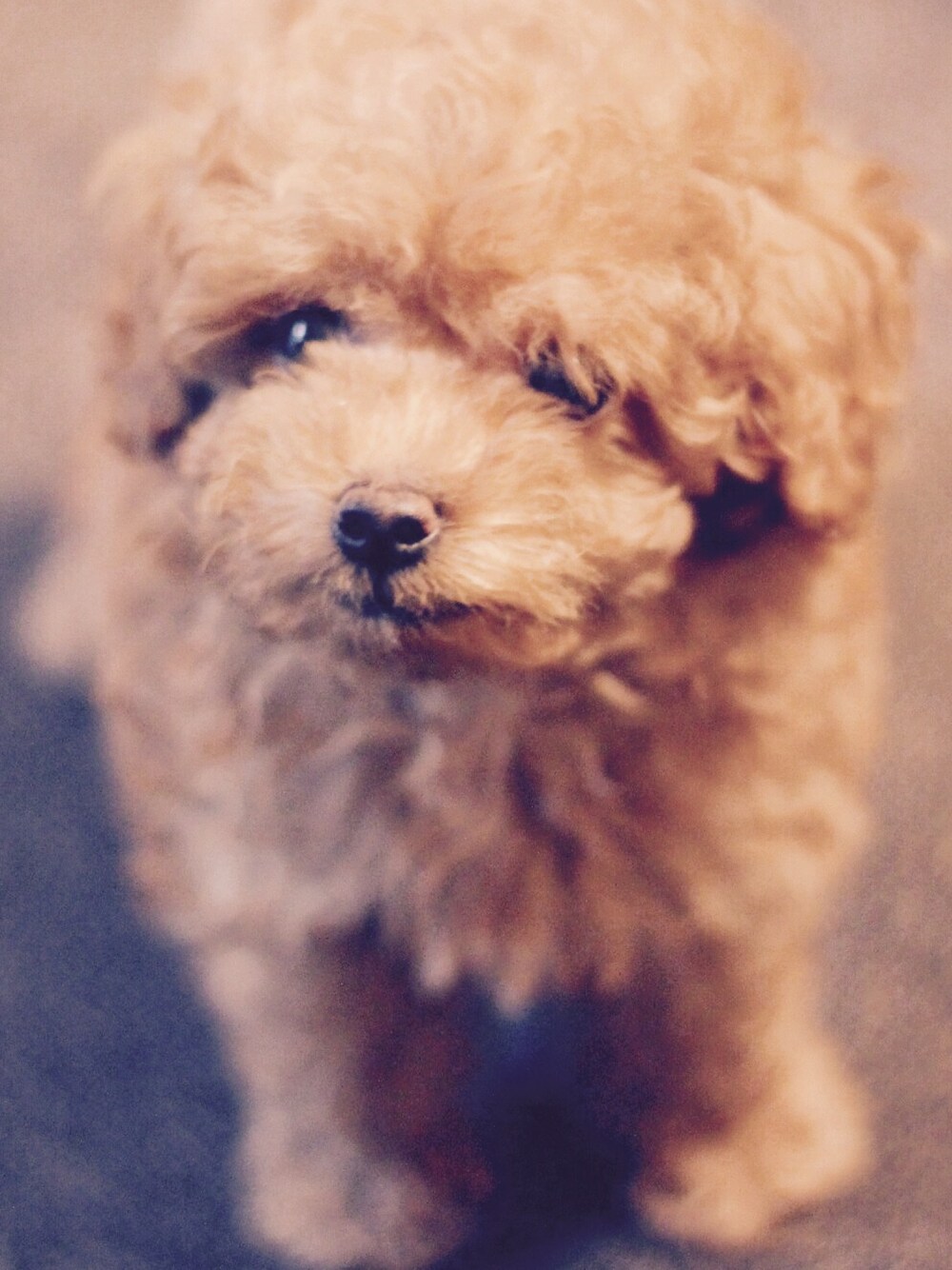 ブラウン系のその他を着用したメンズの秋コーディネートの1枚目の写真