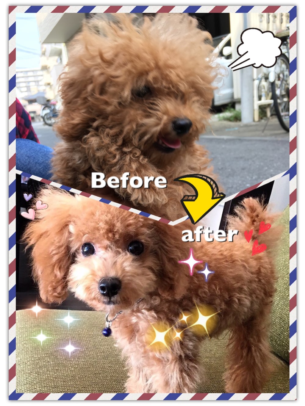 「ブラウン、トイプードル、ダッフィー、愛犬、いぬ♡、ドックタグ、わんちゃん、きぐるみ、テディーベア、トリミング」｜「初めてのトリミングのアイテム（福袋/福箱、ブラウン系）」を使った、laluna✳️さん（キッズ・50cm）の秋コーディネートの1枚目の写真