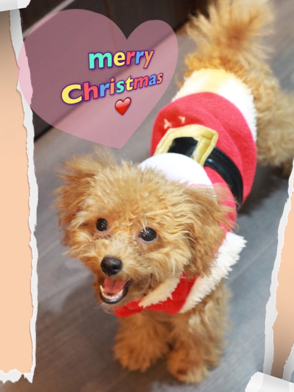 レッド系のペットウェア、ブラウン系の福袋/福箱を着用したメンズの冬コーディネートの1枚目の写真