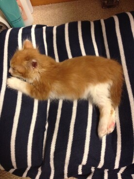 (￣་།￣)さんのコーディネート