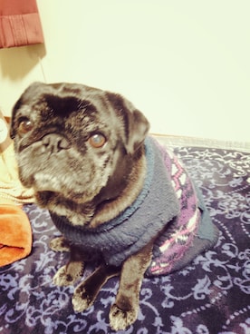 hisashiさんのコーディネート