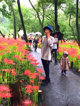 ハルンケア2さん（メンズ・179cm）の秋コーディネート